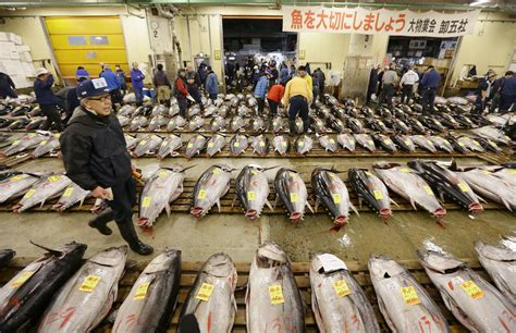 tsuki fish|Iba pa.